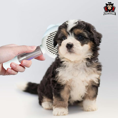 Pet Steam Massage Brush