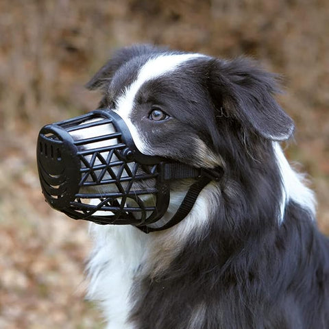 Plastic Dog Muzzle additional view