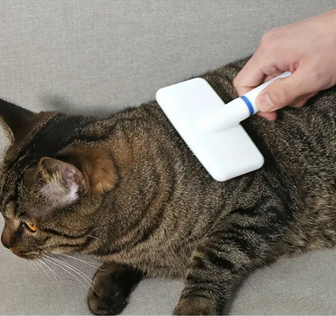 Plastic White Pet Grooming Brush additional view