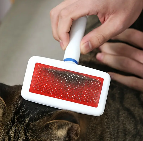 Plastic White Pet Grooming Brush additional view