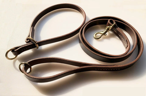 Puppy Choke Leash with Collar