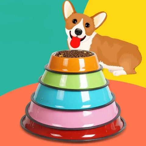 Colour Steel Feeding Bowl For Cats and Dogs