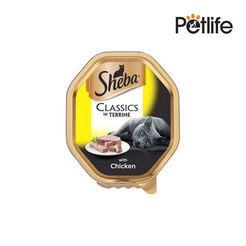 Sheba Cat Food Chicken Terrina 85gm