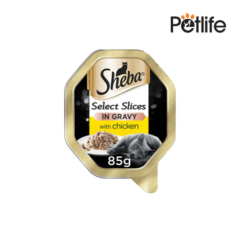 Sheba Cat Food Chicken Gravy 85gm