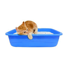 Small Cat Litter Tray