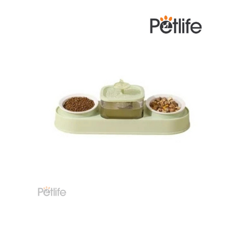 Fountain Double Food Bowl