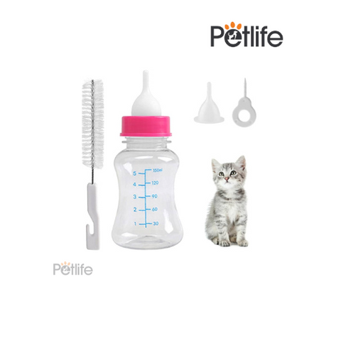 Pet Feeder