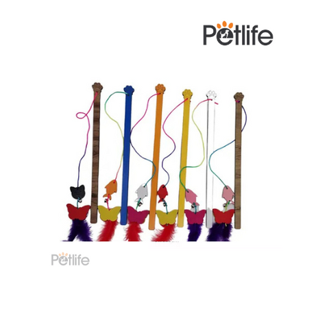 Cat Collar Paw Imported