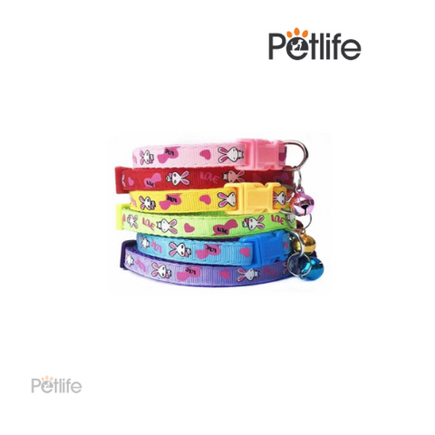 Cat Collar Rabbit Imported