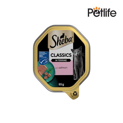 Sheba Cat Food Salmon Terrina 85gm